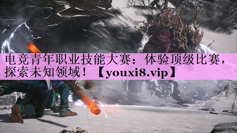 电竞青年职业技能大赛:体验顶级比赛,探索未知领域! 电竞青年职业技能大赛:体验顶级比赛,探索未知领域!