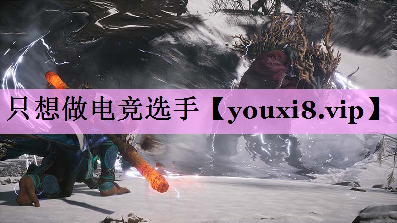 只想做电竞选手 只想做电竞选手